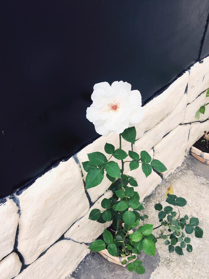 Guest House Maxim 马钦加里 外观 照片